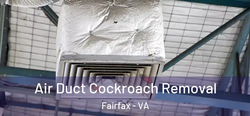  Air Duct Cockroach Removal Fairfax - VA