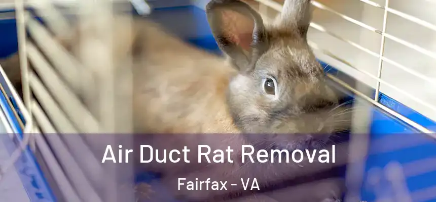  Air Duct Rat Removal Fairfax - VA