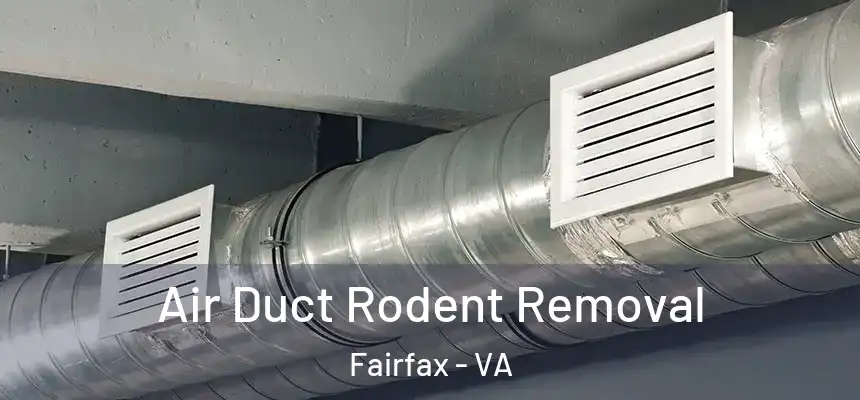  Air Duct Rodent Removal Fairfax - VA