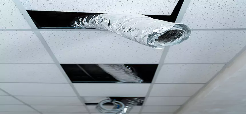 Our Air Duct Pet Hair Removal Services in Fairfax, VA