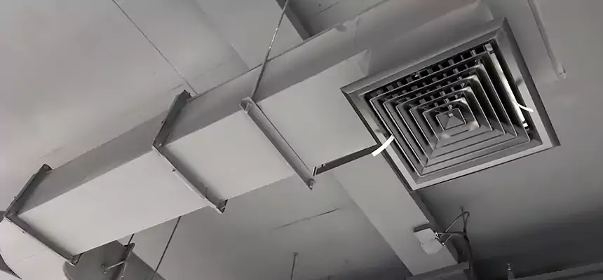 Restorative Allergy Relief Vent Cleaning – Coil, Blower & Housing Detail in Fairfax