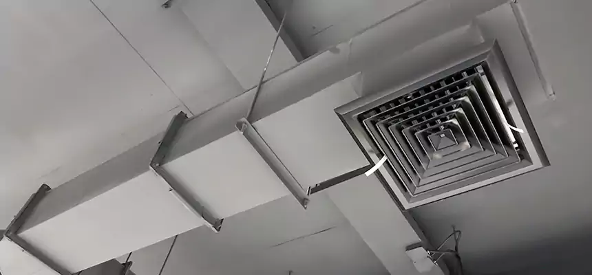 Our Rodent Droppings In Vents Services in Fairfax, VA