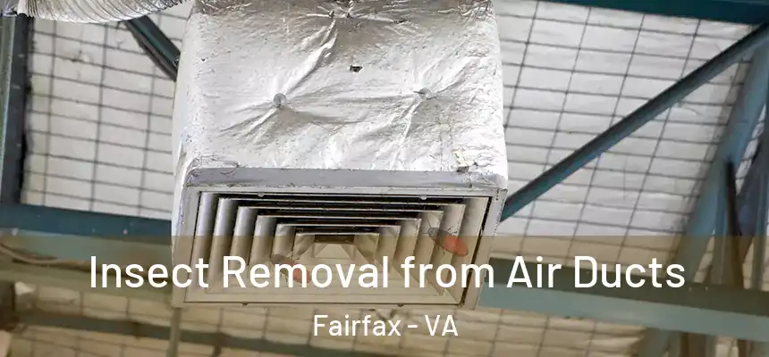  Insect Removal from Air Ducts Fairfax - VA