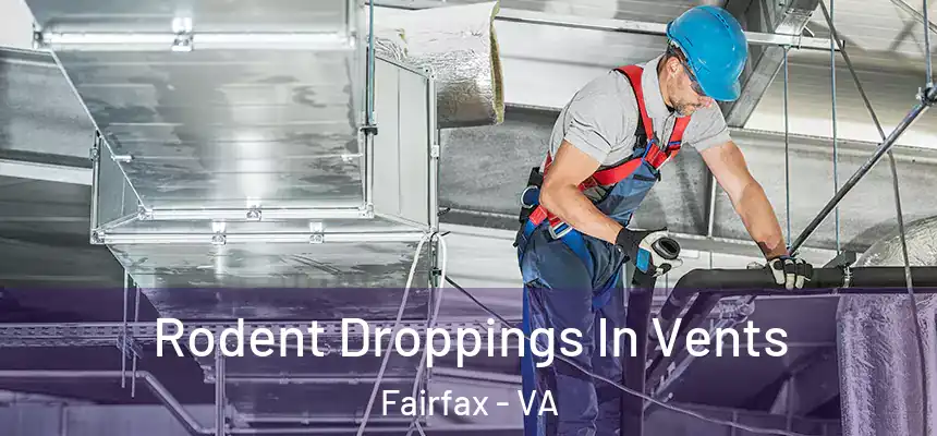  Rodent Droppings In Vents Fairfax - VA
