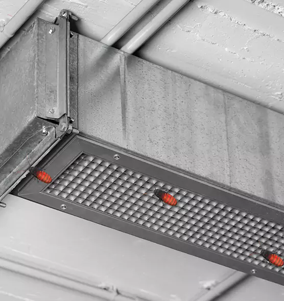 About Air Duct Cockroach Removal in Fairfax, VA