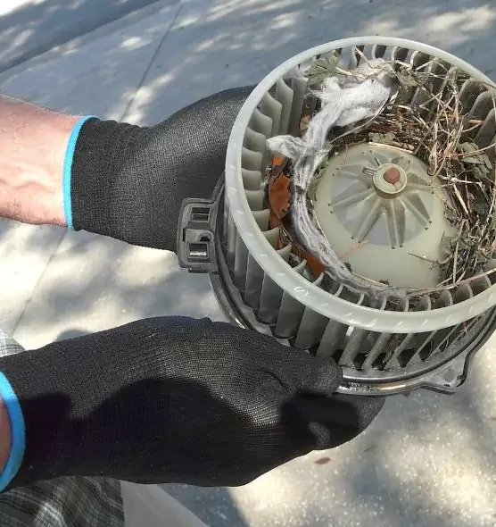 About Air Duct Mice Removal in Fairfax, VA