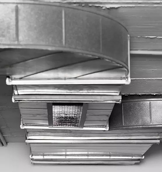 Professional Air Duct Pest Removal in Fairfax, VA