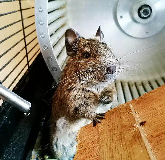 Why Homeowners & Businesses Trust Us Fairfax, VA?