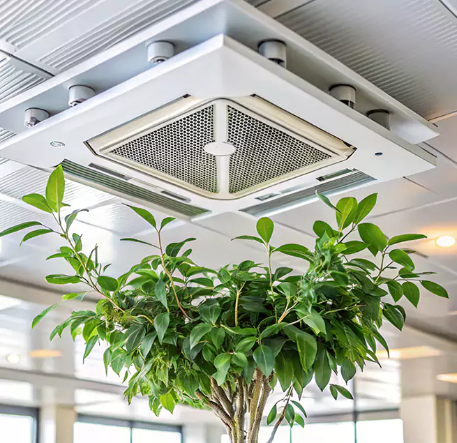 Why Homeowners & Businesses Trust Us in Fairfax, VA?