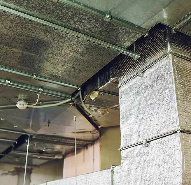 Why Homeowners & Businesses Trust Us in Fairfax, VA?